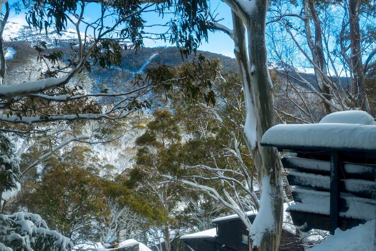 Pure Chalet Thredbo Εξωτερικό φωτογραφία