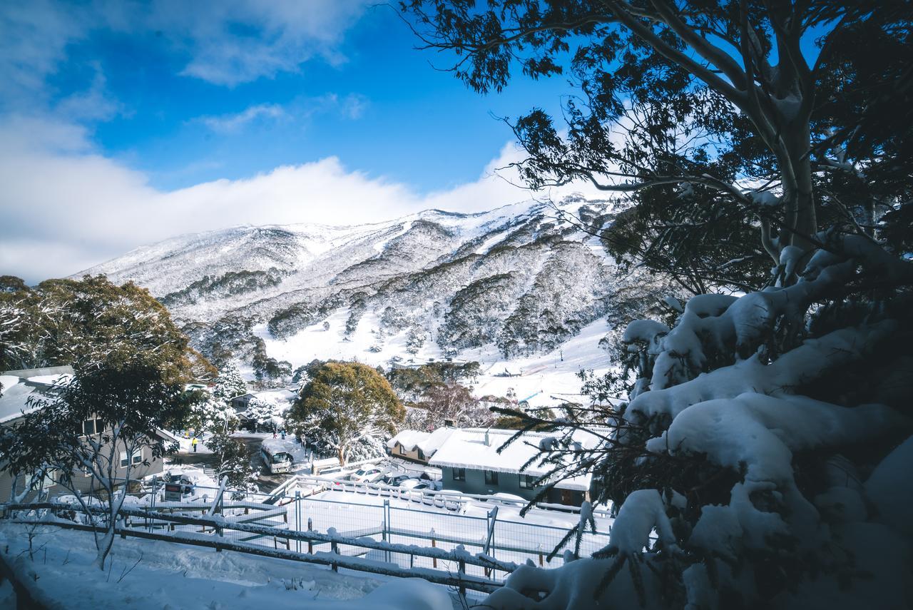 Pure Chalet Thredbo Εξωτερικό φωτογραφία
