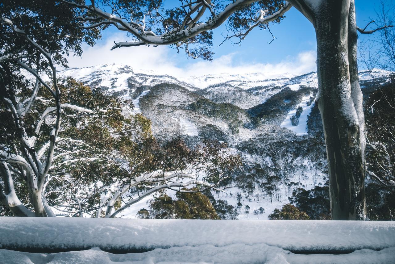 Pure Chalet Thredbo Εξωτερικό φωτογραφία